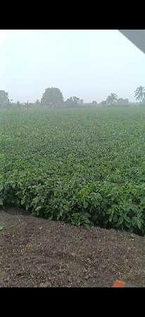 જમીન વેચવા ની છે