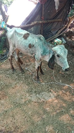 ભીલડી સે.આસરકારાસે