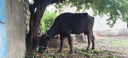 કિંમત ફેરફાર કરી આપશું