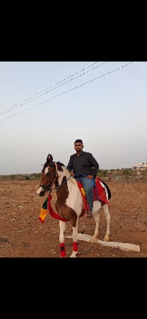 લાલ બાવળી