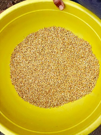 ધાણા વેચવાના છે