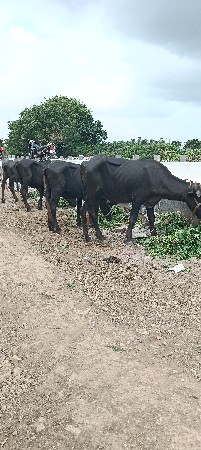 પોરબંદર જિલ્લો