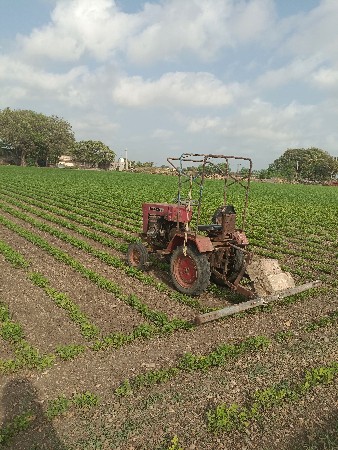 સનેડો