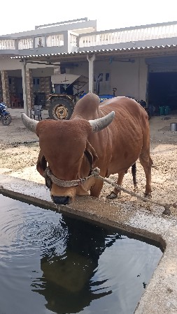 badhi jvabdari sathe aap vani