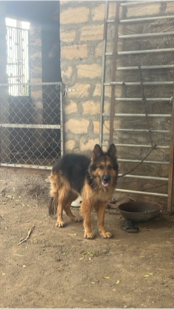 sata karvana che leb athva sitzu phota nakhva male joy call na karvo