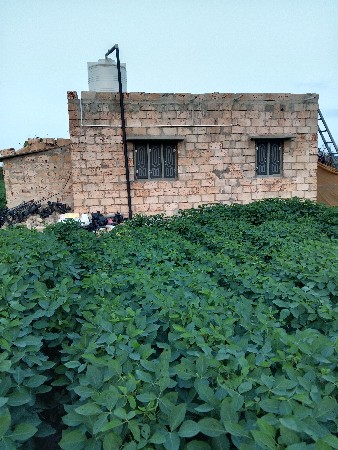 જમીન વેચવાની છે