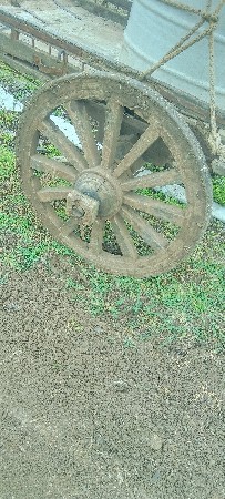 જાડો વેચવાનો છે