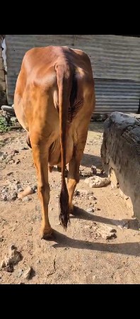 ત્રીજું વેતર વ્યાસે દસ-બારદી ની