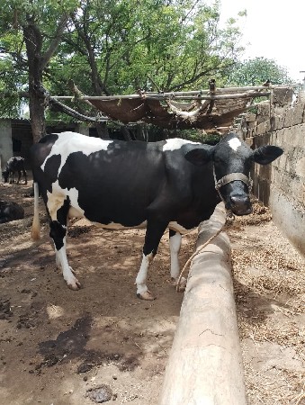 વેચવાની છે