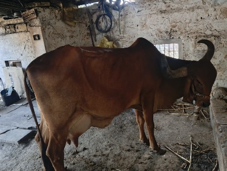 વેસવાની