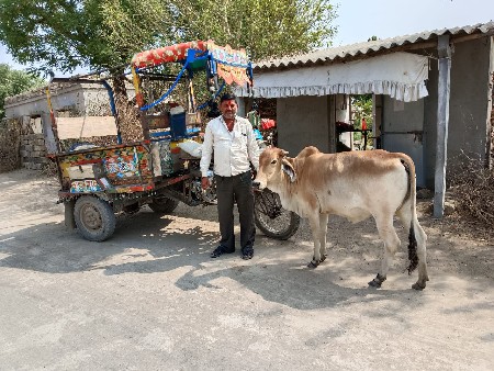 રિક્ષા