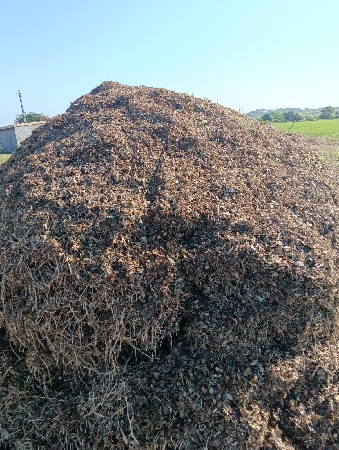 મગફળીનો પાલો વેચવાનો છે