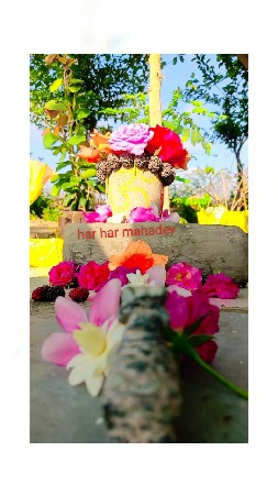ભેંસ વેચવાની છે