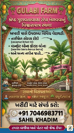 નારીયેળ ના રોપ