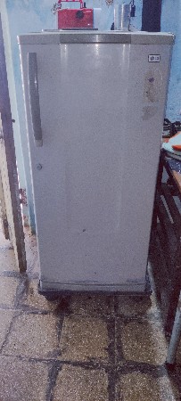 freeg