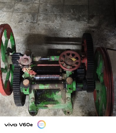 સિસોડો
