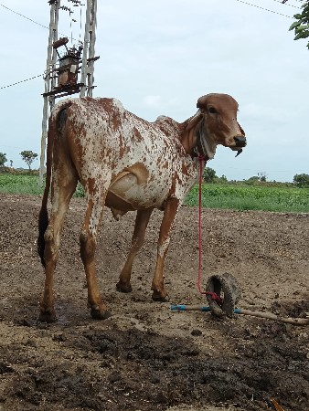 આ