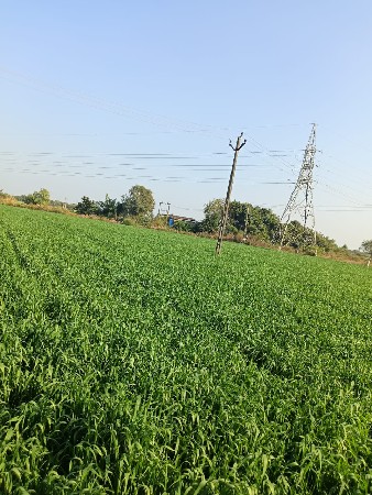જમીન વેચવાની છે