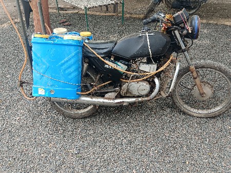 સજુકી વેશવાનીશે