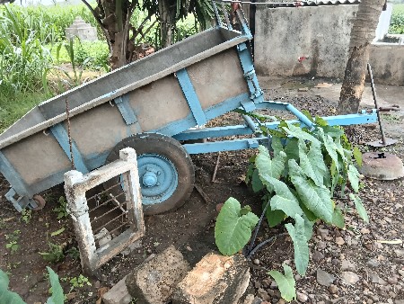 ટોલી‌ મીની