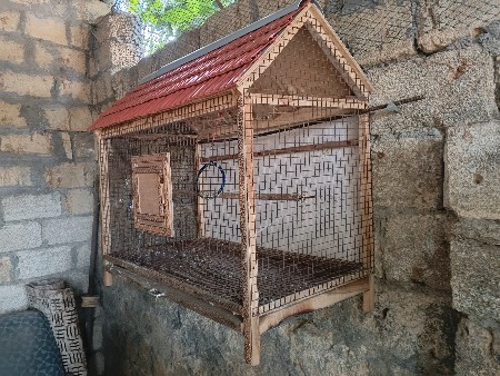 આ પિજરૂ વેચવાનું છે