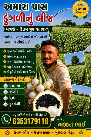 ડુંગળી નું બી