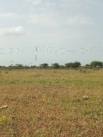 જમીન વેચવાની છે