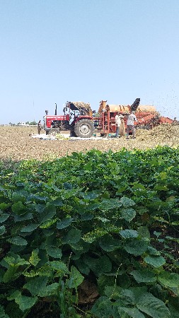વીચકરમ ઠેસરવેસવાનુછે