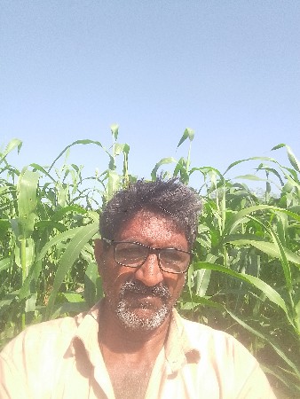 જીવારનુ લીલુ