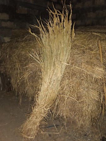 નીરણ વેચવાની છે