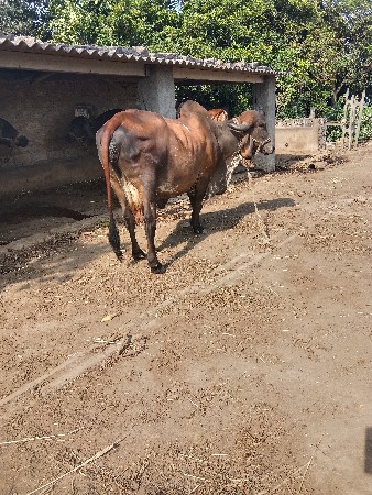 ત્રીજું વેક્ટર વ્યાસ