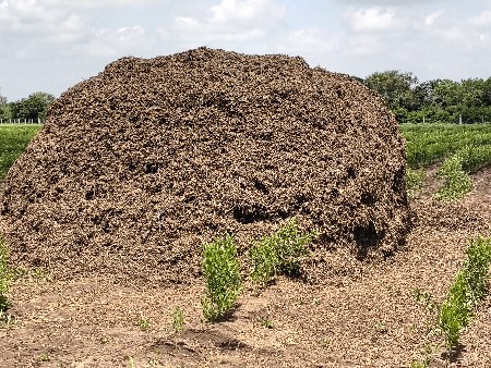 ભૂકો (પાલો) વેચવાનો છે