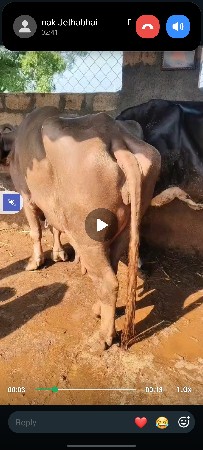 ખાલી બે વેચવાની છે