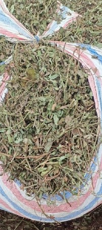 મગફળી નો પાલો લેવેચ માટે મળો