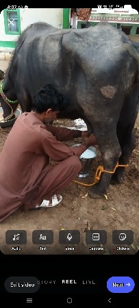 વેચવાની