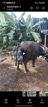 5 દિવસ થયા છે