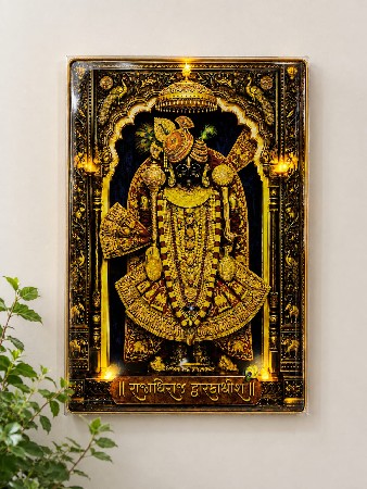 ગીર હોડકી વેચવાની છે