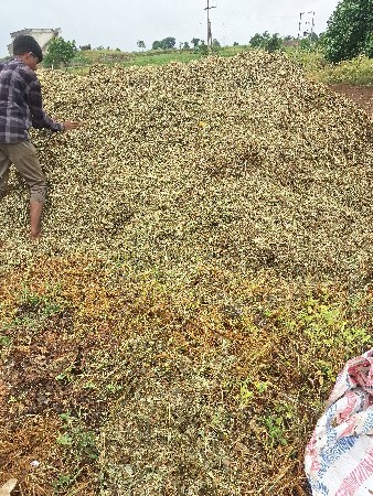 ભુક્કો