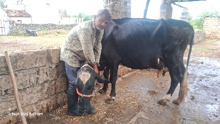વેચવાની છે