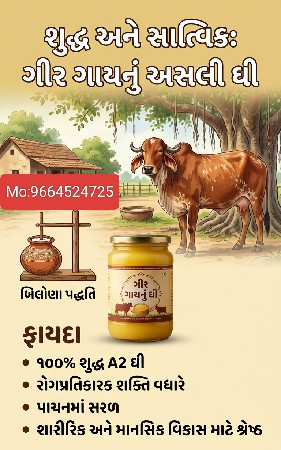 ગીર ગાયનું ઘી