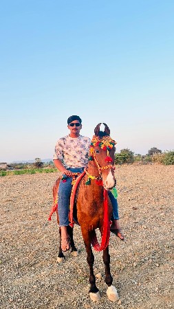 ghodi