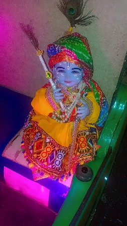 જે કોય ને દેશી ગાય