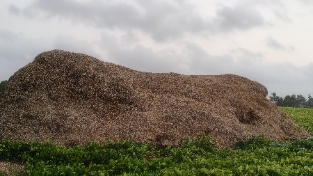 માડવી નો ભુકો વેચવાનો છે