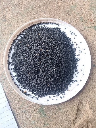 પીળી પતિ ડુંગળી નુ બી વેચવાનુ છે