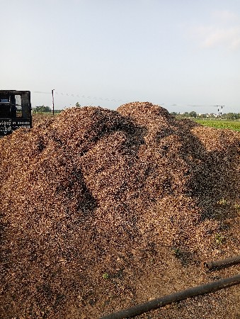 મગફળી પાલો વેચવાનો છે