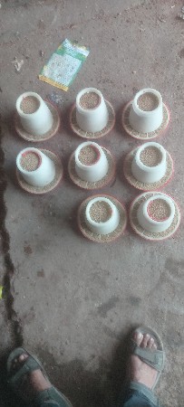 પાણી ને દાણા  ખવડાવવા  ના  ડબ્બા