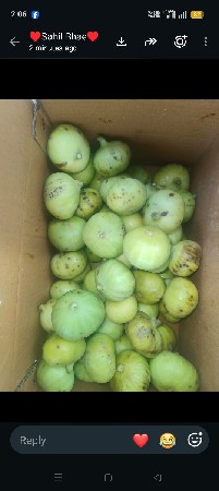 અંજીર વેચવાના છીએ