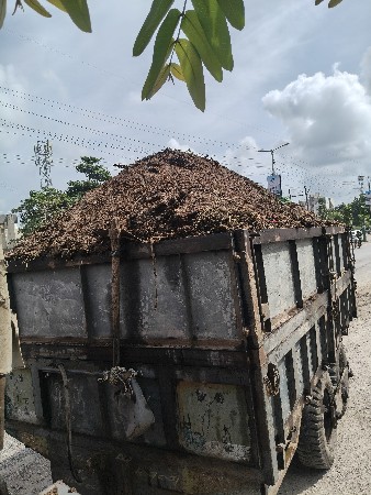 desi khatar