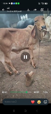 વેચવાની છે