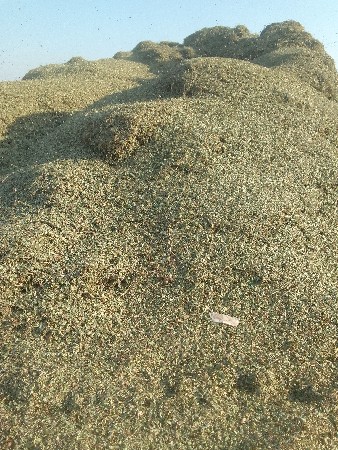 20 વિઘા નો ભૂકો વેચવા નો છે.
